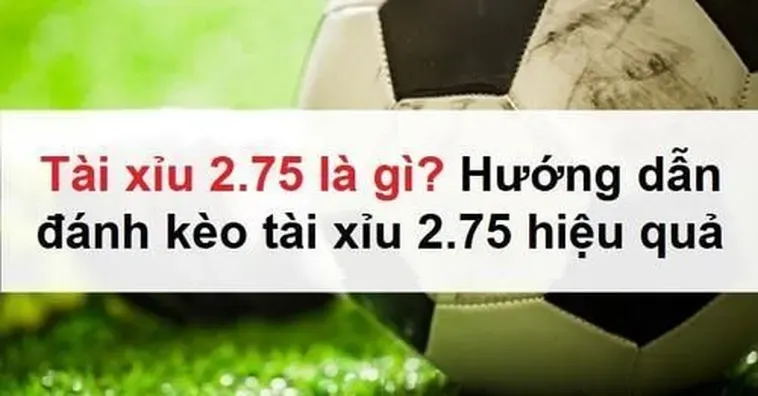Bí Quyết Chơi Kèo 2.75: Tăng Tỷ Lệ Thắng Cược Bóng Đá